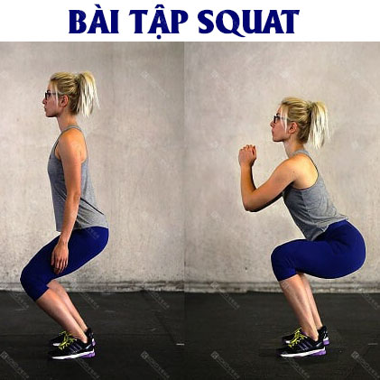 Bài tập Squat giúp nâng mông hiệu quả